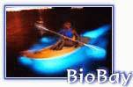biobay